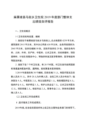 麻栗坡县马街乡卫生院2019年度部门整体支出绩效自评报告.docx