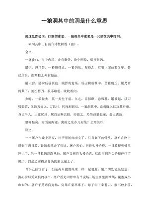 一狼洞其中的洞是什么意思.docx