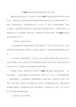 镇2022年普法总结责任落实情况工作汇报.docx