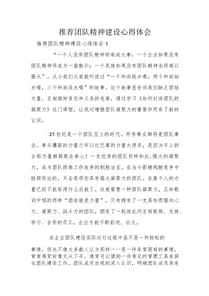 推荐团队精神建设心得体会.docx