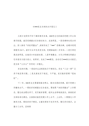 对党总支部抓党建述职报告点评意见3篇.docx