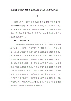 （2篇）县医疗保障局和县人民政府办公室2022年度全面依法治县工作总结.docx