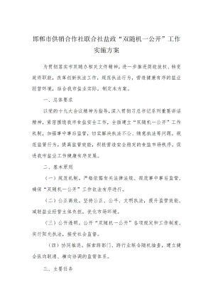 邯郸市供销合作社联合社盐政“双随机一公开”工作实施方案.docx