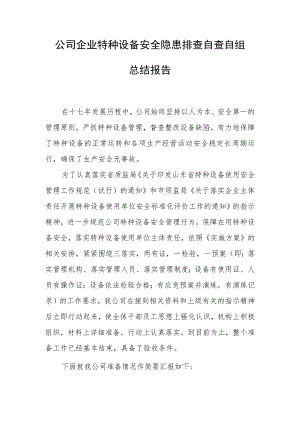 公司企业特种设备安全隐患排查自查自纠总结报告.docx