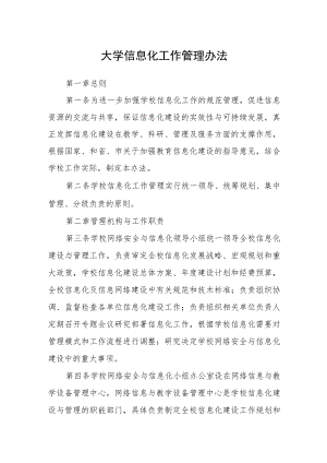 大学信息化工作管理办法.docx