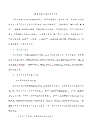 商务谁普法工作总结报告.docx
