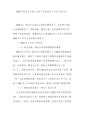 2022年综合办公室上半年工作总结及下半年工作计划.docx