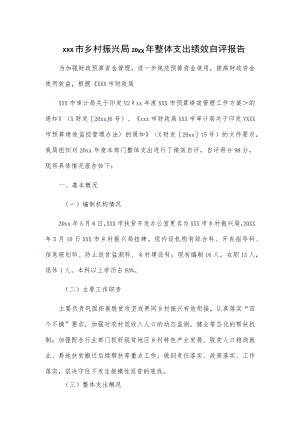 xxx市乡村振兴局20xx年整体支出绩效自评报告.docx