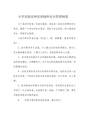 小学实验室和实训场所安全管理制度.docx