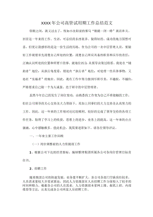 XXXX年公司高管试用期工作总结范文.docx