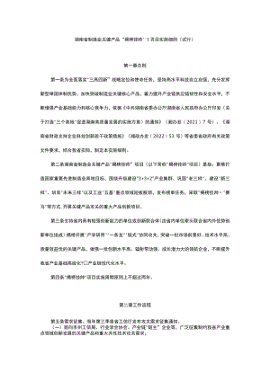 湖南省制造业关键产品“揭榜挂帅”项目实施细则（试行）.docx