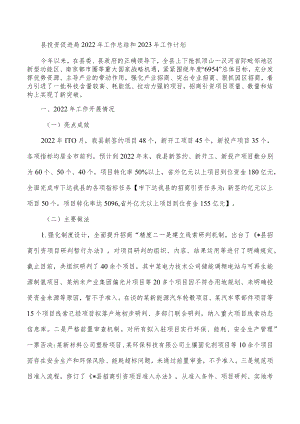 县投资促进局2022年工作总结和2023年工作计划.docx