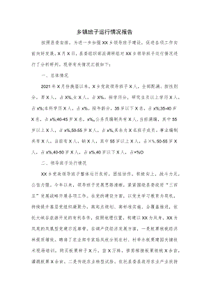 乡镇班子运行情况报告2篇.docx