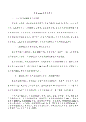 乡镇2022年工作报告.docx