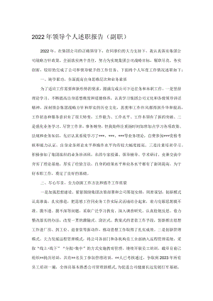 2022年领导个人述职报告（副职）.docx
