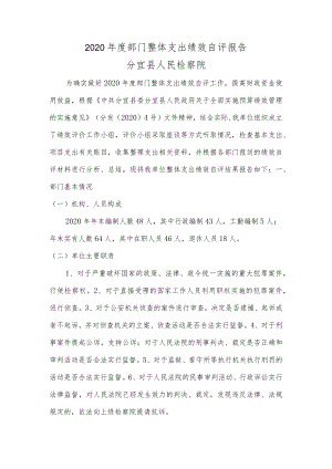 2020年度部门整体支出绩效自评报告.docx