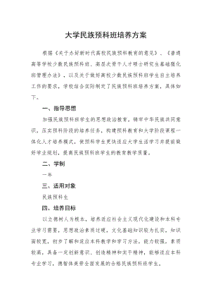 大学民族预科班培养方案.docx