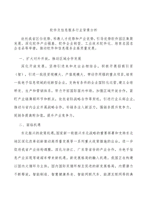 软件及信息服务行业背景分析.docx