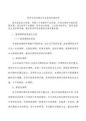 软件及信息服务行业宏观环境分析.docx
