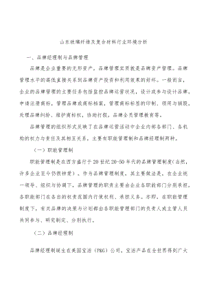 山东玻璃纤维及复合材料行业环境分析.docx