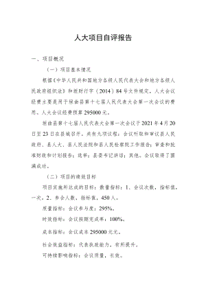 人大项目自评报告.docx