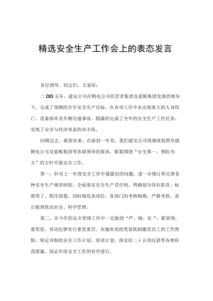 精选安全生产工作会上的表态发言.docx