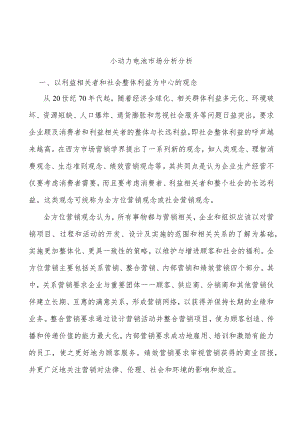 小动力电池市场分析分析.docx