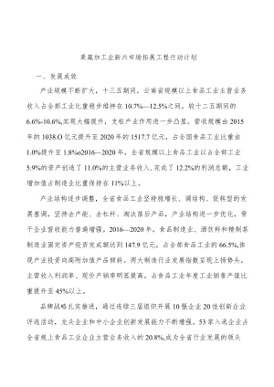 果蔬加工业新兴市场拓展工程行动计划.docx