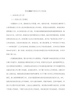 财政2022年政务公开工作总结.docx
