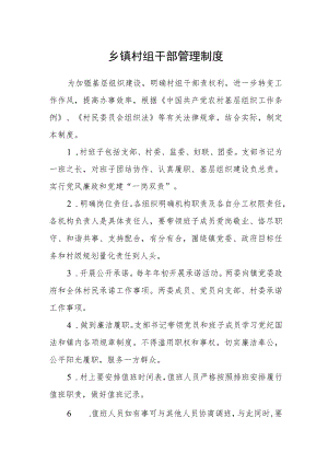 乡镇村组干部管理制度.docx
