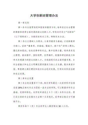 大学创新班管理办法.docx