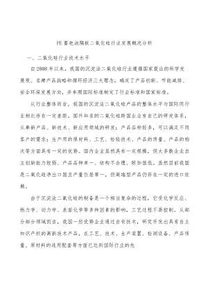 PE蓄电池隔板二氧化硅行业发展概况分析.docx