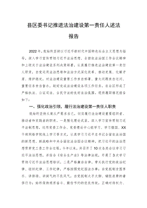 县区委书记推进法治建设第一责任人述法报告.docx