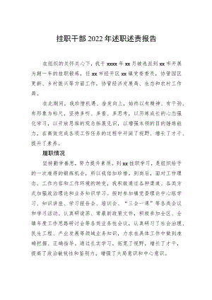 挂职干部2022年述职述责报告.docx