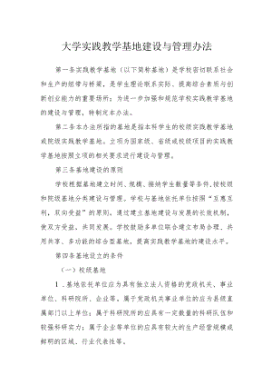 大学实践教学基地建设与管理办法.docx