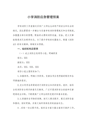 小学消防应急管理预案.docx