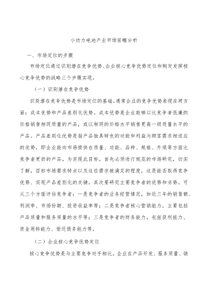 小动力电池产业市场前瞻分析.docx