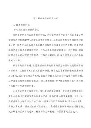 河北新材料行业概况分析.docx