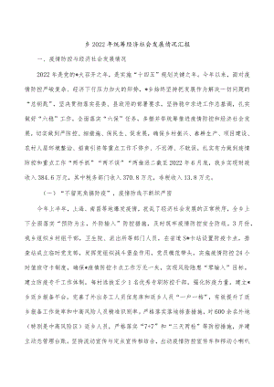 乡2022年统筹经济社会发展情况汇报.docx