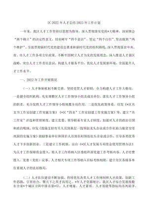 区2022年人才总结2023年工作计划.docx