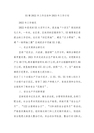 XX镇2022年工作总结和2023年工作计划.docx