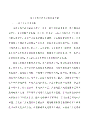 重点发展中药民族药实施方案.docx