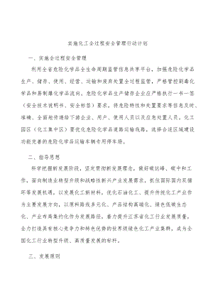 实施化工全过程安全管理行动计划.docx