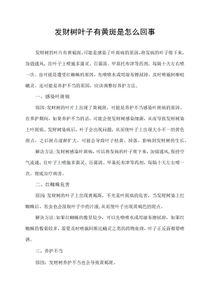 发财树叶子有黄斑是怎么回事.docx