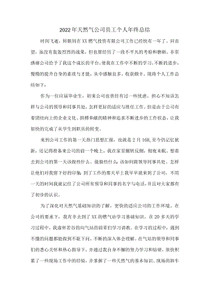 2022年天然气公司检查员年终总结.docx