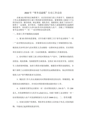 2022年乡镇开展“寒冬送温暖”行动总结（汇编3份）.docx