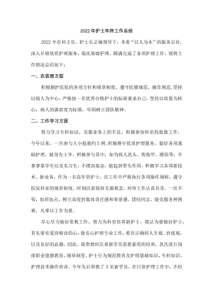 2022年护士工作个人年终总结汇编6篇.docx