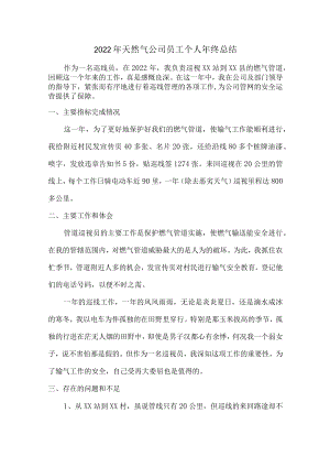 2022年天然气公司查表员年终总结 (精编3份).docx