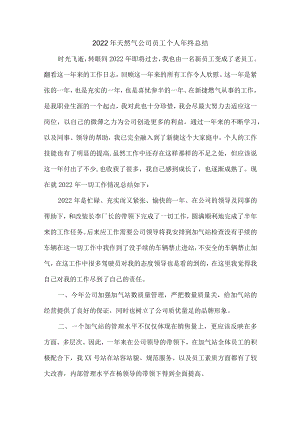 2022年天然气公司员工个人年终总结（精品5篇）.docx