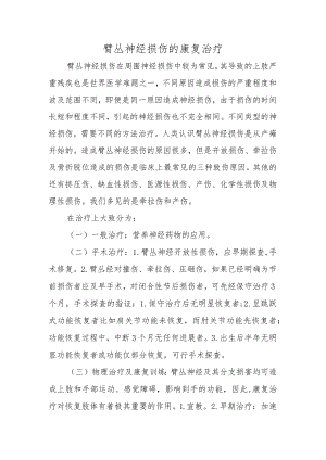 臂丛神经损伤的康复治疗.docx
